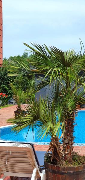 Apartament CACAO RESIDENCE